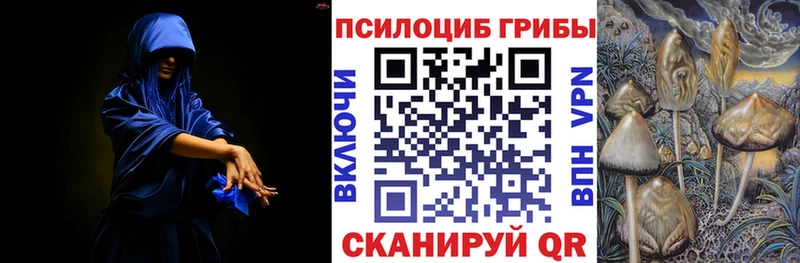 Псилоцибиновые грибы Cubensis  наркотики  Николаевск-на-Амуре 